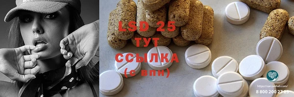 apvp Богданович
