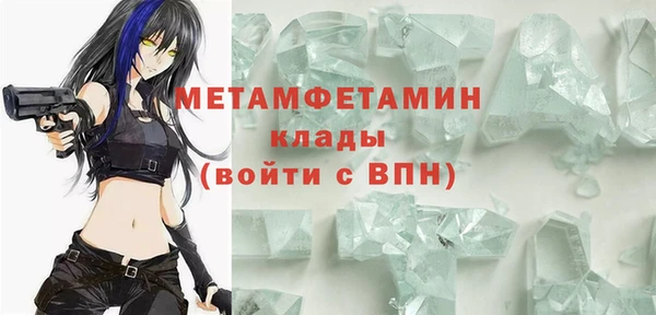 прущие грибы Богородицк