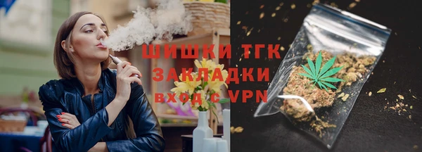 прущие грибы Богородицк