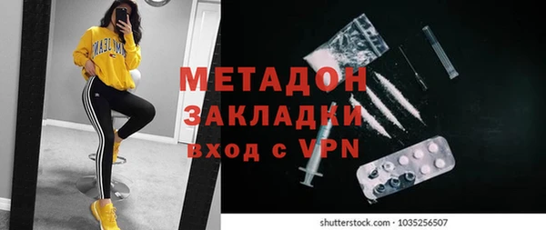 прущие грибы Богородицк