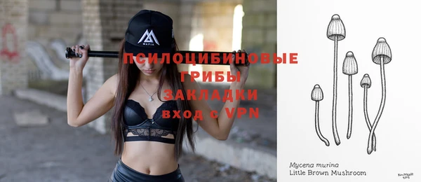 прущие грибы Богородицк
