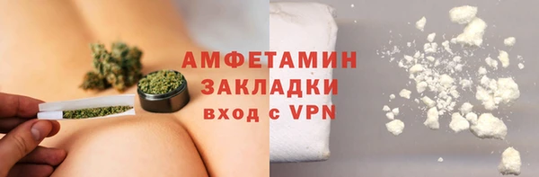прущие грибы Богородицк