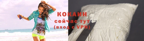 дмт Пересвет