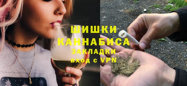 МДПВ Богородск