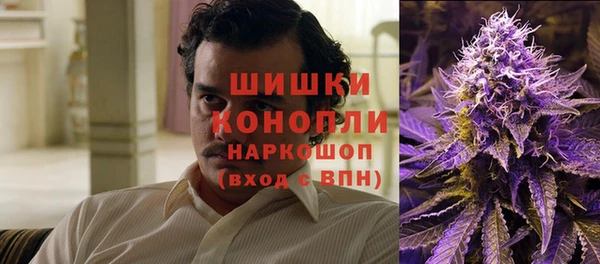 прущие грибы Богородицк