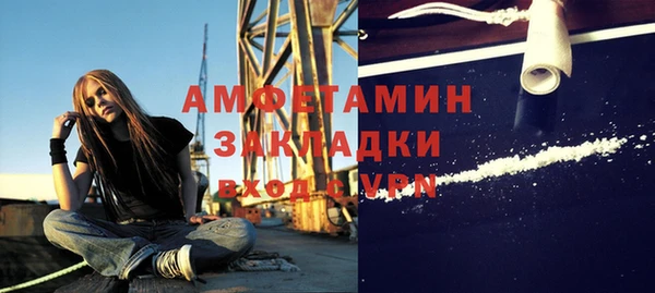 прущие грибы Богородицк