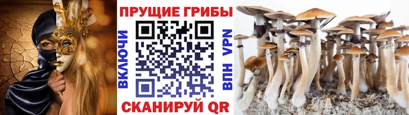 Псилоцибиновые грибы мухоморы Дорогобуж